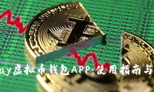 详解OKPay虚拟币钱包APP：使用指南与常见问题