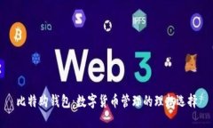 比特购钱包:数字货币管理的理想选择