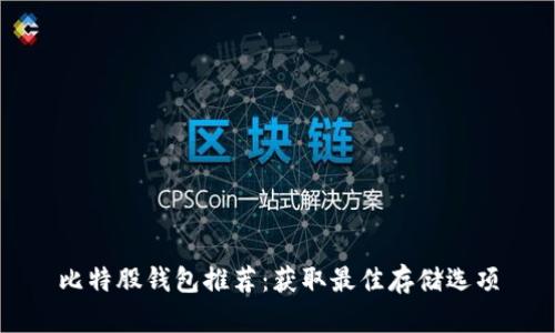 比特股钱包推荐:获取最佳存储选项