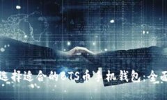 如何选择适合的BTS币手机钱包:全面指南