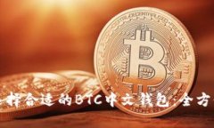 如何选择合适的BTC中文钱包:全方位指南