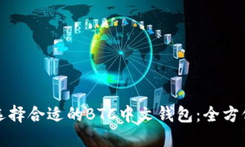如何选择合适的BTC中文钱包:全方位指南