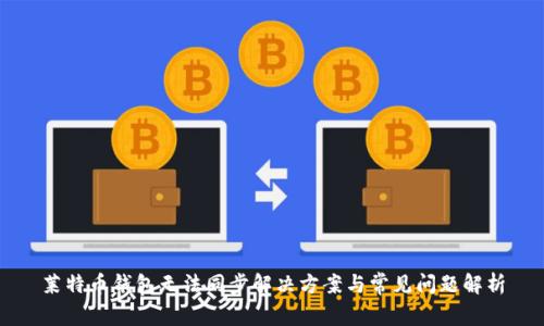 莱特币钱包无法同步解决方案与常见问题解析