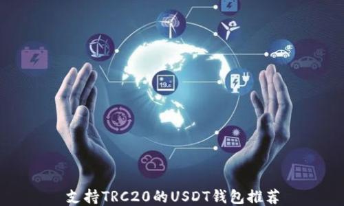 支持TRC20的USDT钱包推荐
