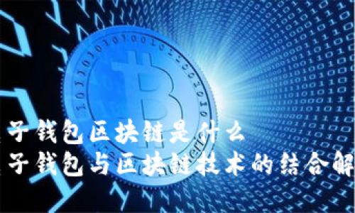 电子钱包区块链是什么 
电子钱包与区块链技术的结合解析