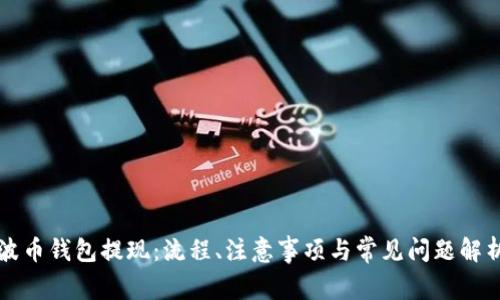 波币钱包提现:流程、注意事项与常见问题解析