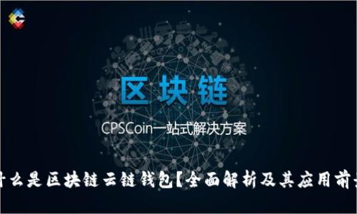 什么是区块链云链钱包?全面解析及其应用前景