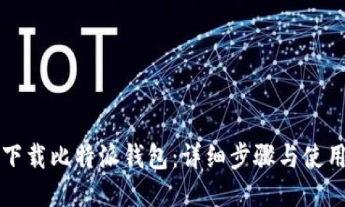 如何下载比特派钱包：详细步骤与使用指南