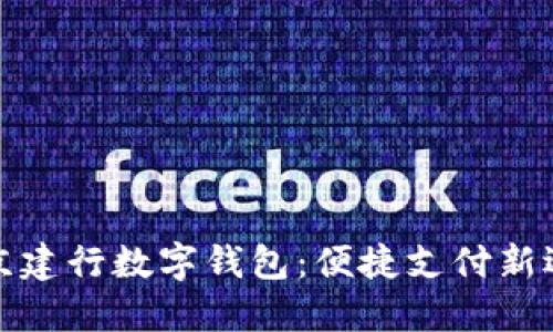 北京建行数字钱包:便捷支付新选择