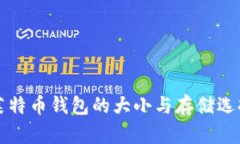 莱特币钱包的大小与存储选择