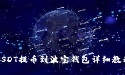 USDT提币到波宝钱包详细教程