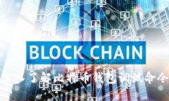 深入了解比特币钱包调试命令