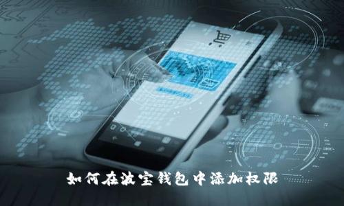 如何在波宝钱包中添加权限