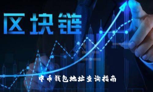 中币钱包地址查询指南