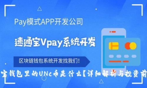 波宝钱包里的UNc币是什么?详细解析与投资前景