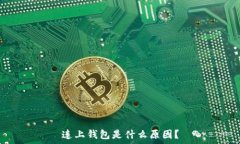   连上钱包是什么原因？