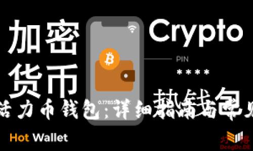 如何注册活力币钱包:详细指南与常见问题解析