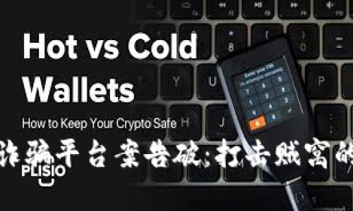 数字货币诈骗平台案告破：打击贼窝的全球行动