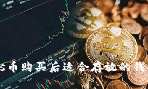 : npxs币购买后适合存放的钱包推荐