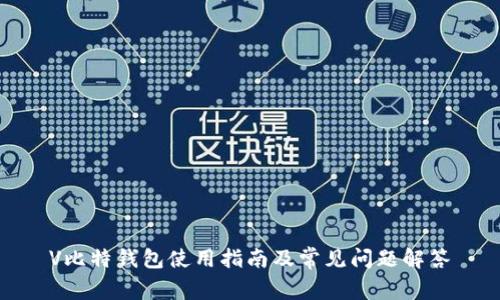 V比特钱包使用指南及常见问题解答