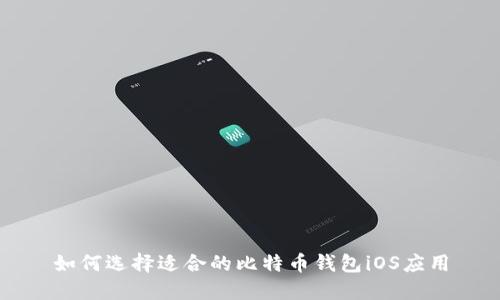 如何选择适合的比特币钱包iOS应用