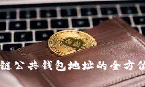区块链公共钱包地址的全方位解析