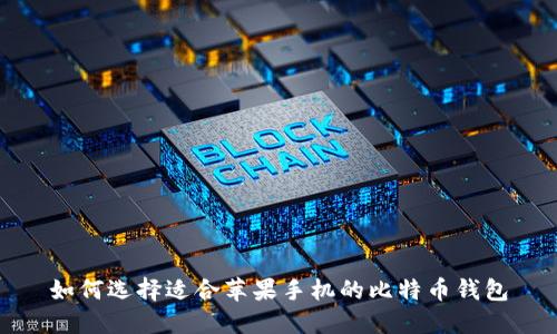 如何选择适合苹果手机的比特币钱包