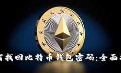 如何找回比特币钱包密码:全面指南