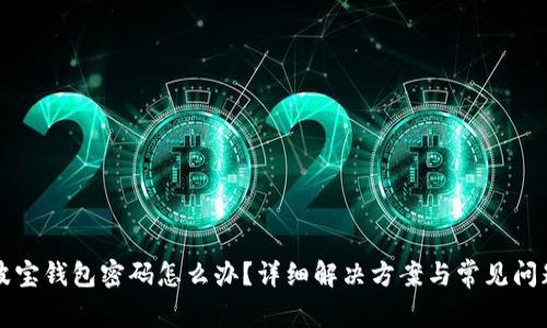 忘记波宝钱包密码怎么办？详细解决方案与常见问题解析
