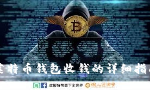莱特币钱包收钱的详细指南