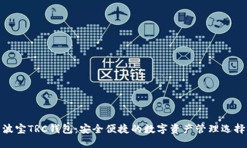 波宝TRC钱包:安全便捷的数字资产管理选择