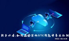 新手必看:如何在安装的BTC钱包中导出私钥