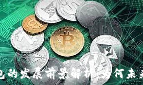   
区块链钱包的发展前景解析：为何未来值得期待