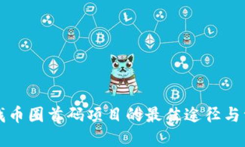 寻找币圈首码项目的最佳途径与资源