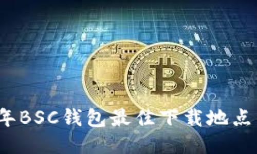 2023年BSC钱包最佳下载地点与指南