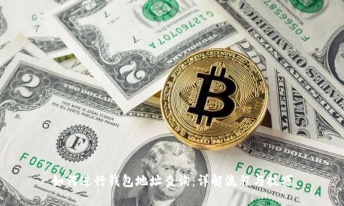 如何进行钱包地址查询:详解流程与技巧
