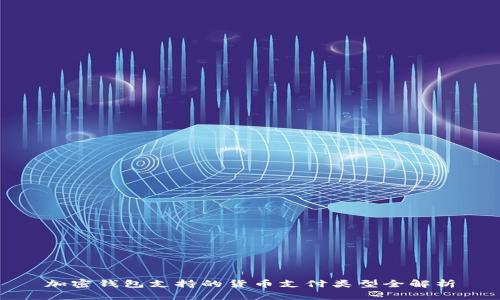 加密钱包支持的货币支付类型全解析