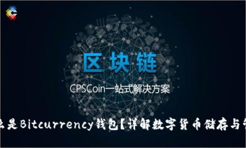 什么是Bitcurrency钱包？详解数字货币储存与管理