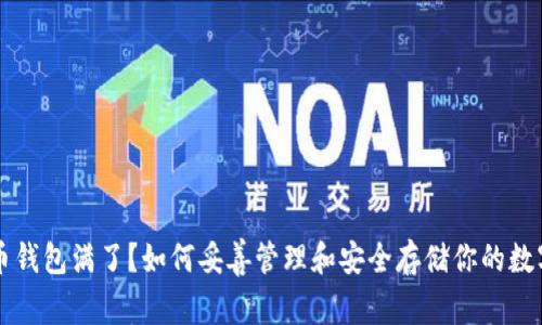 比特币钱包满了？如何妥善管理和安全存储你的数字资产