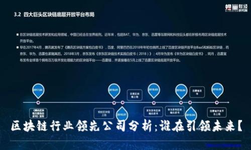 区块链行业领先公司分析：谁在引领未来？