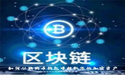 如何从狗狗币钱包中提取您的加密资产