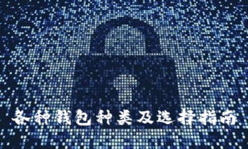 各种钱包种类及选择指南