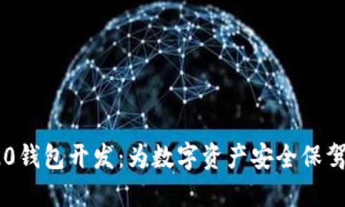 TRC20钱包开发：为数字资产安全保驾护航