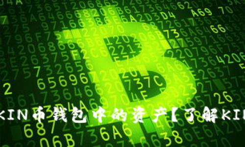 如何便捷地换算KIN币钱包中的资产？了解KIN币与法币的关系