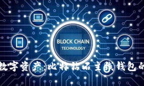 轻松掌控数字资产：比特钻石主线钱包的全面解析