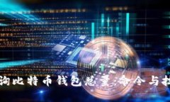 如何查询比特币钱包总量：命令与技巧详解