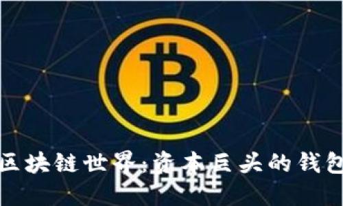 揭秘区块链世界：资本巨头的钱包地址