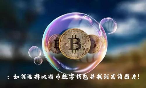 : 如何选择比特币数字钱包并找到高清图片!