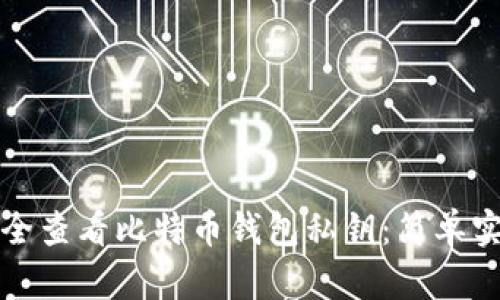 如何安全查看比特币钱包私钥：简单实用指南