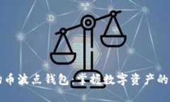 波场币波点钱包：掌握数字资产的未来